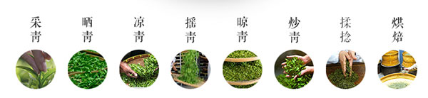 庐山云雾茶的制作方法