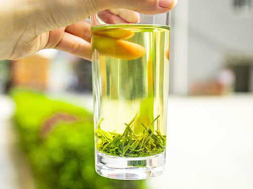 毛尖茶怎么泡最好?